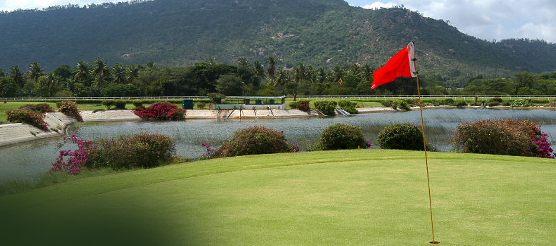 HOME-PAGE-BANNER-IMG-2