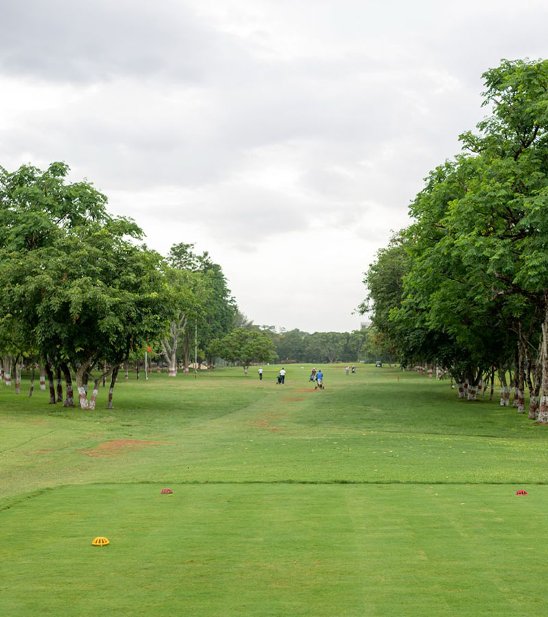JWGC-gallery